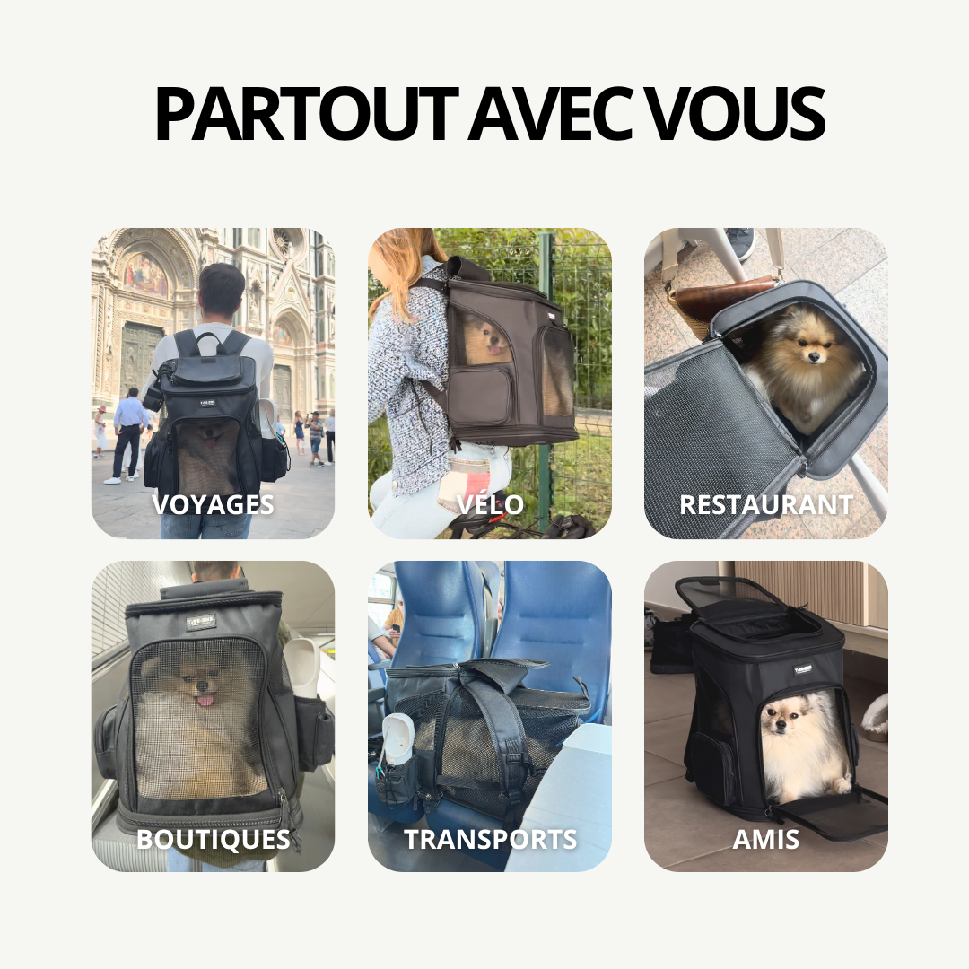 Sac à Dos de Transport Extensible pour petit chien | Laisse de sécurité, 3 entrées, Poches Accessoires, Tapis