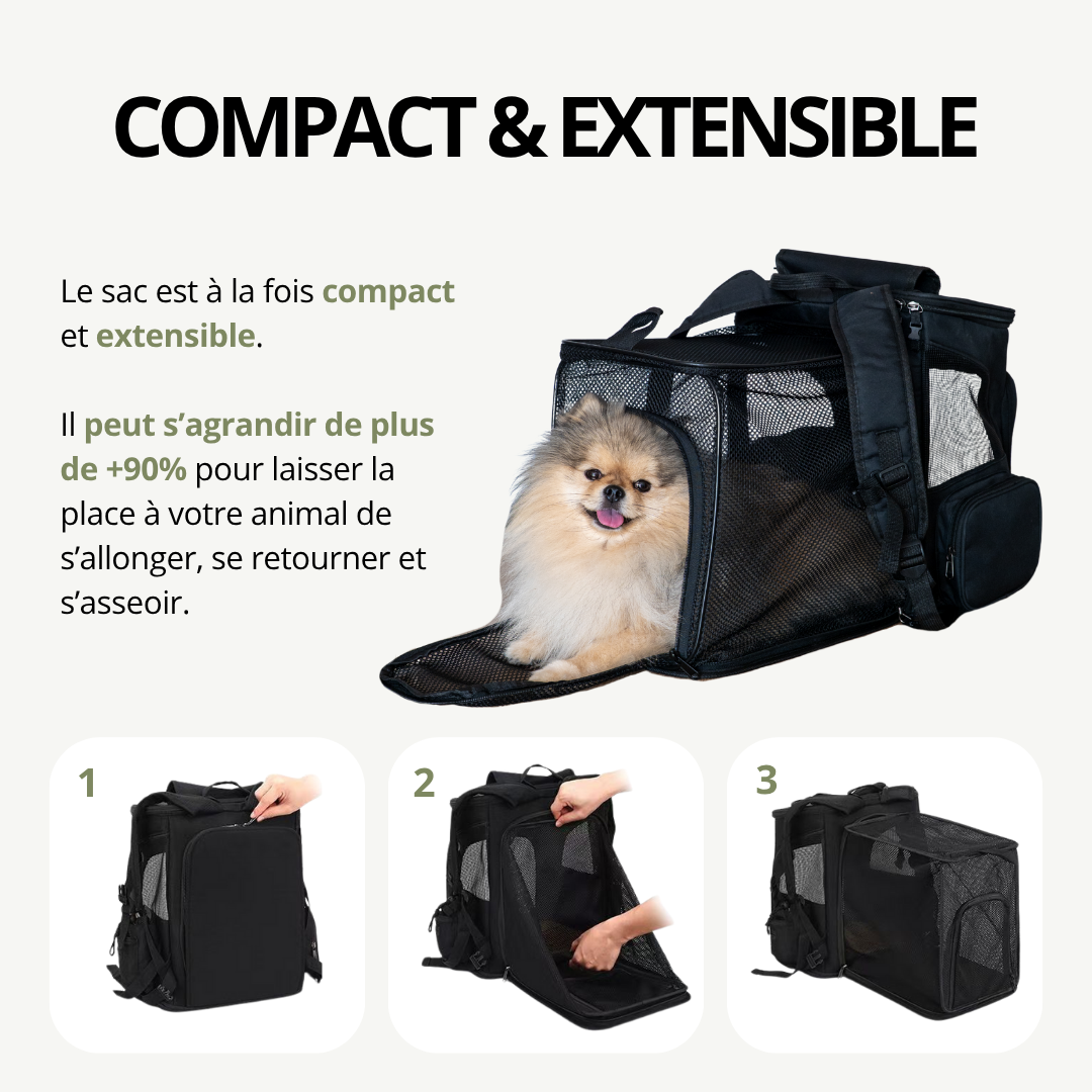 Sac à Dos de Transport Extensible pour petit chien | Laisse de sécurité, 3 entrées, Poches Accessoires, Tapis
